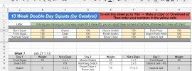 catalyst 13 week double day squats program